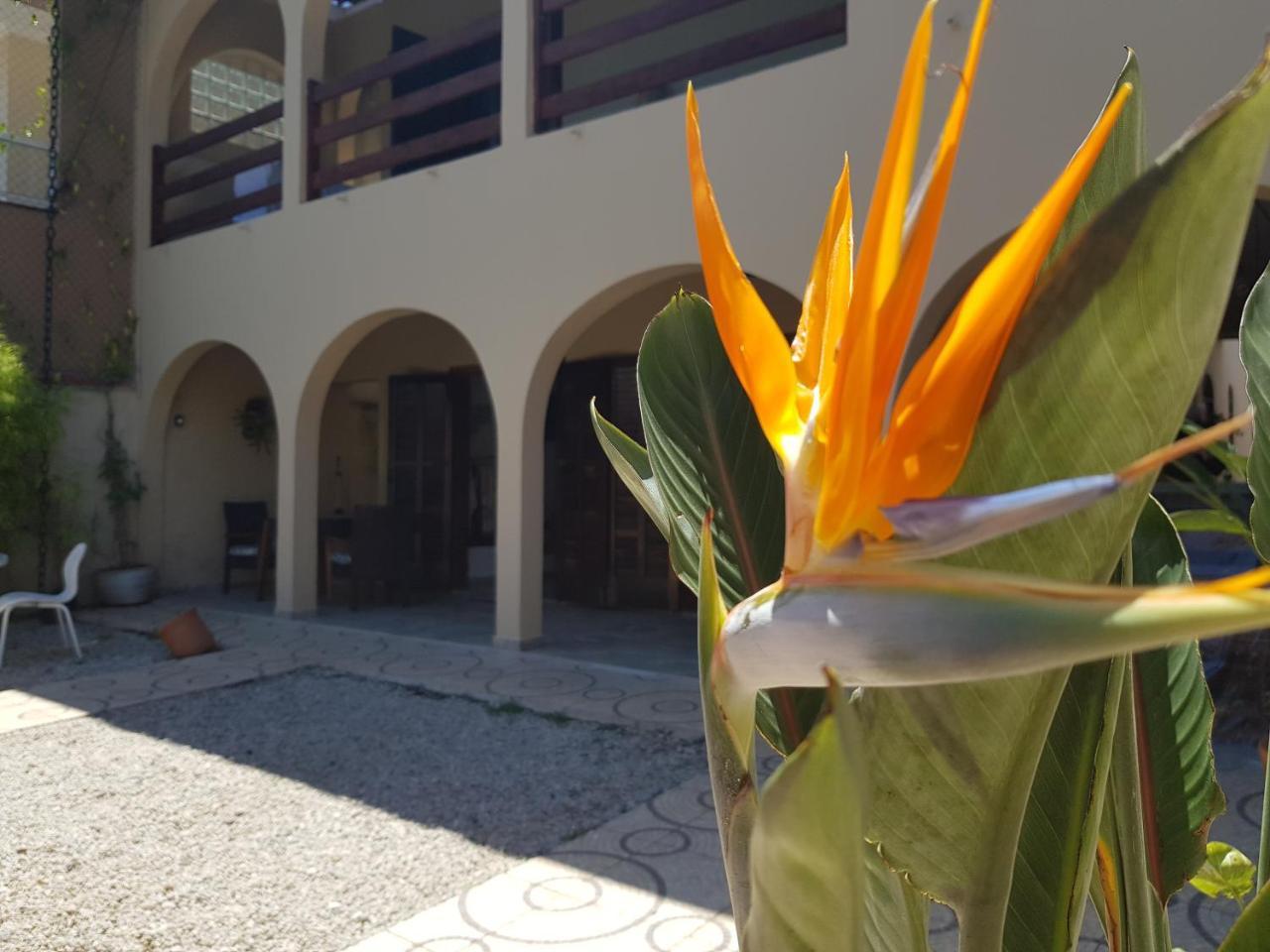 Santo Quintal Hostel Ubatuba Extérieur photo
